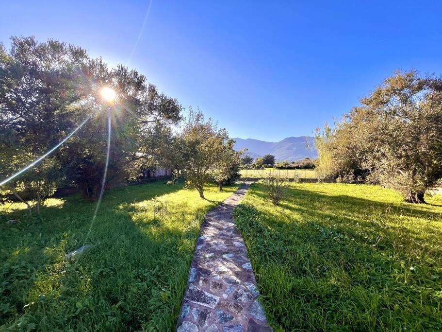 Maison Marina Pietra Avec Jardin Villa Pietracorbara Exterior foto